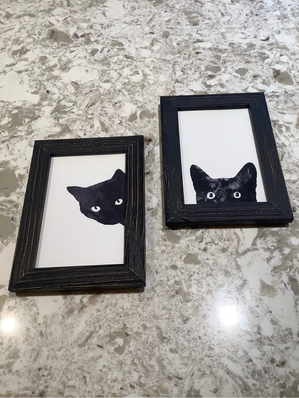 Black Cat Framed Art Pair
